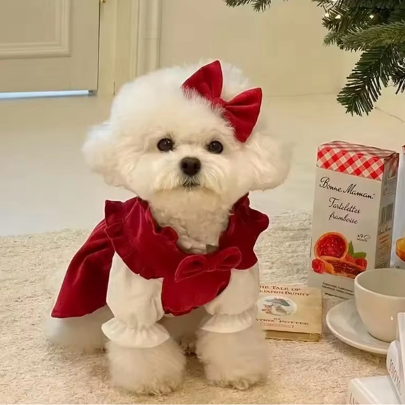 Other - Red Velvet puppy dog Dress with Bow Christmas outfits